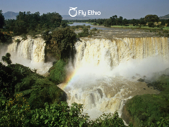 Best Time to Visit Ethiopia: Month-by-Month Weather & Festival Guide