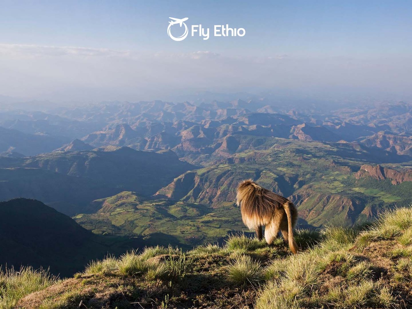 Simien Mountains Trekking Guide: Gelada Monkeys & Ras Dashen