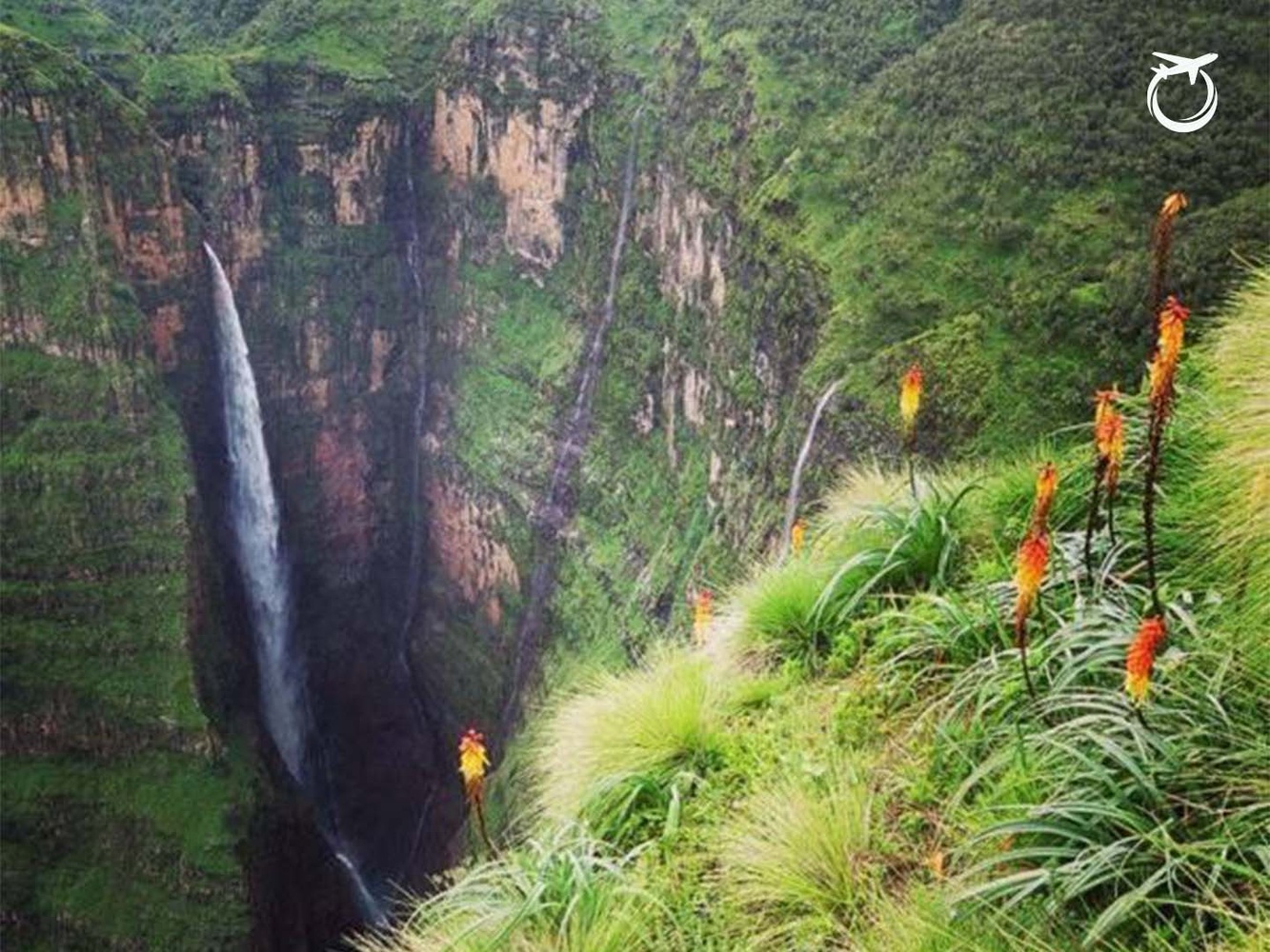 Simien Mountains Trekking Guide: Gelada Monkeys & Ras Dashen