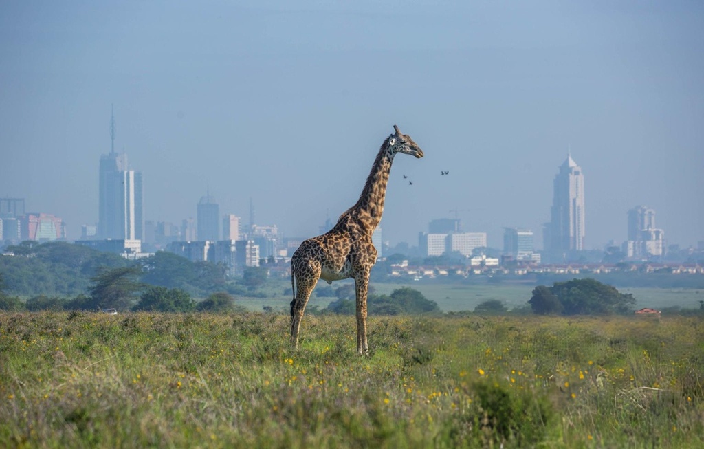 Nairobi